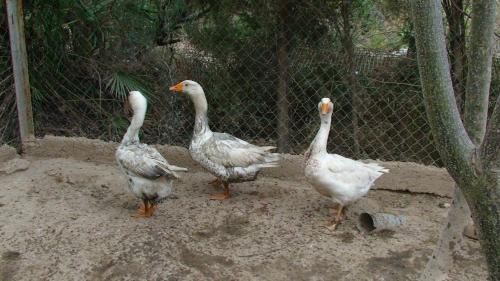 Agroturismo Hort De Mao
