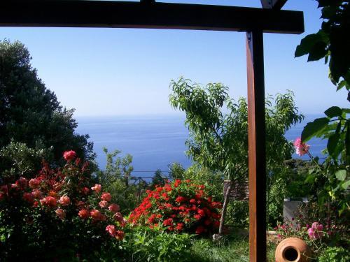 Apartamento Studio Froso