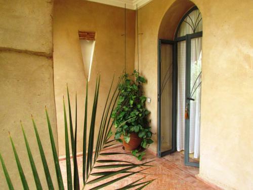 Hostal Le Jardin Des Epices
