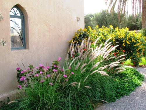 Hostal Le Jardin Des Epices