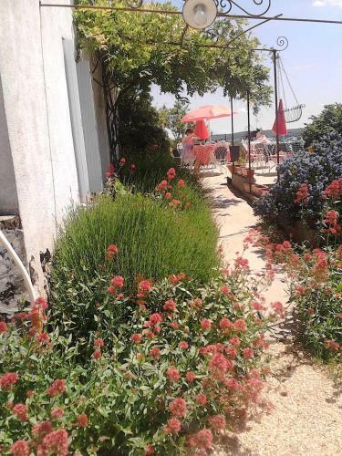 Bed & Breakfast Les Chambres De La Forge Des Collines