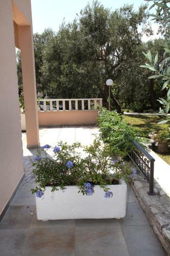 Apartamentos Villa Sun