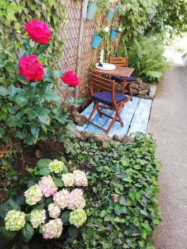 Hostal Gy�ngyszem Vend�gh�z