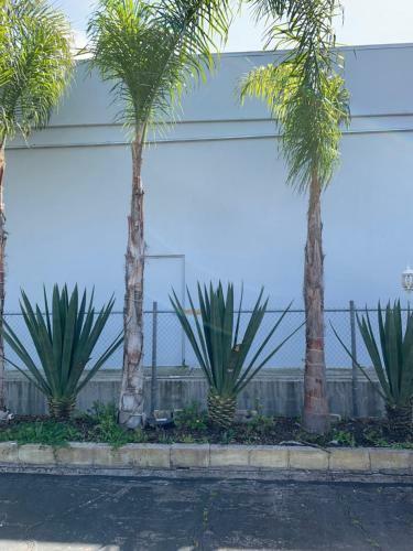 Motel Sandyland Reef Inn