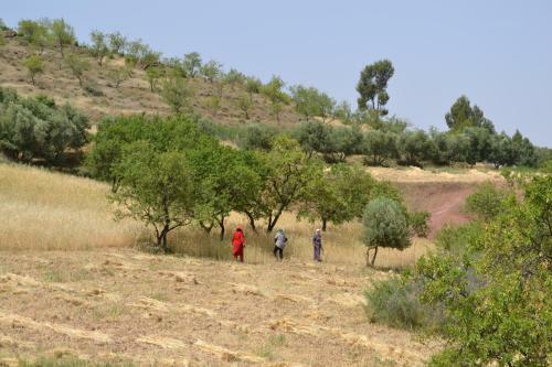 Hostal Kasbah Timdaf