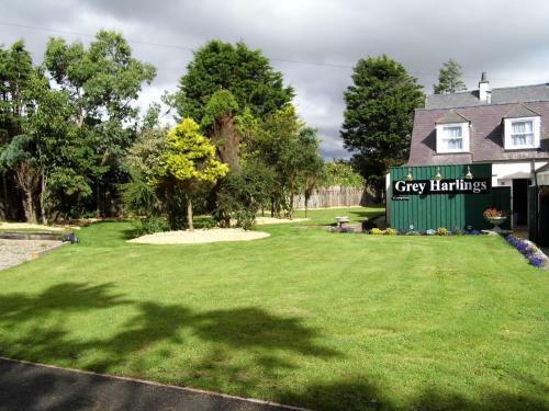 Hostal Guest House Grey Harlings