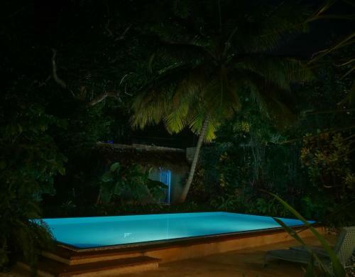 Hotel Piratas Del Caribe
