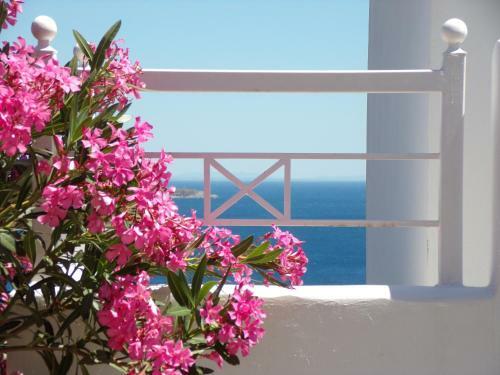 Apartamento Anthemoessa Villas