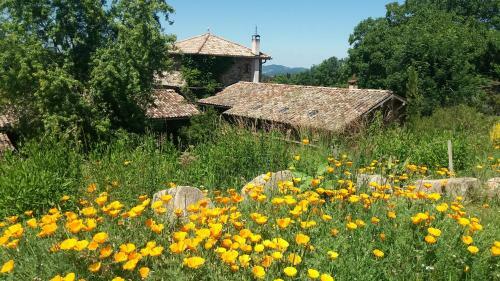 Bed & Breakfast Les Folies De La Serve
