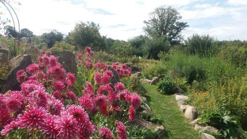 Bed & Breakfast Les Folies De La Serve