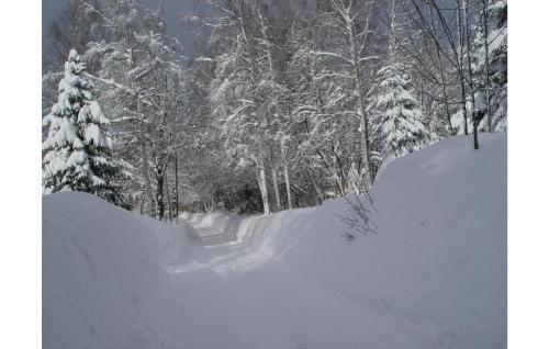 Holiday Home Benecko-rychlov