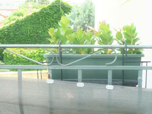 Apartamento Studio Malpeign�