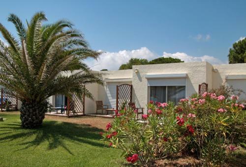 Hotel H�tel Pineto
