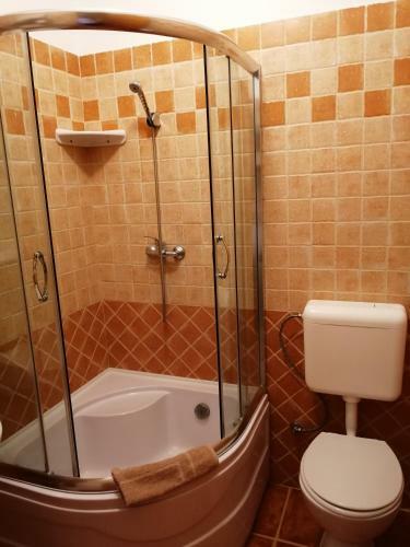 Hostal Karpatia Panzio