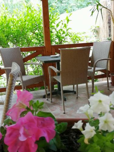 Hostal Karpatia Panzio