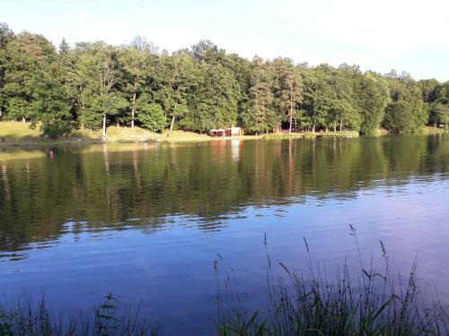 Hostal Sabaria Vad�sa Panzi�