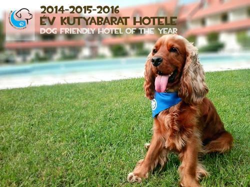 Hotel Abbazia Country Club Superior