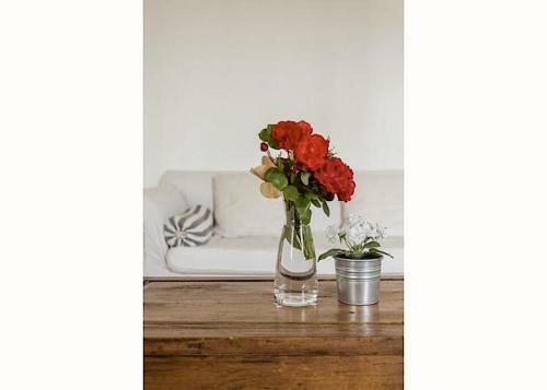 Bed & Breakfast Ch�teau De Mazeli�res