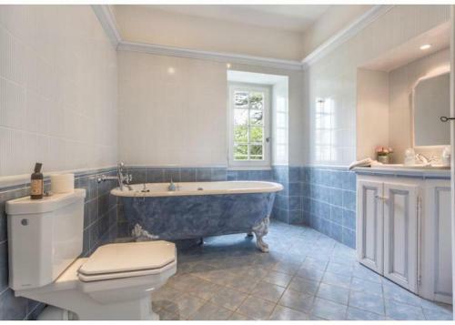 Bed & Breakfast Ch�teau De Mazeli�res