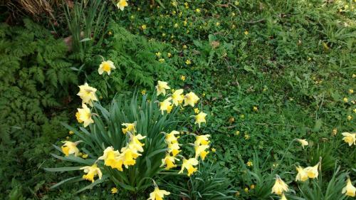 Bed And Breakfast Allt Y Rheini