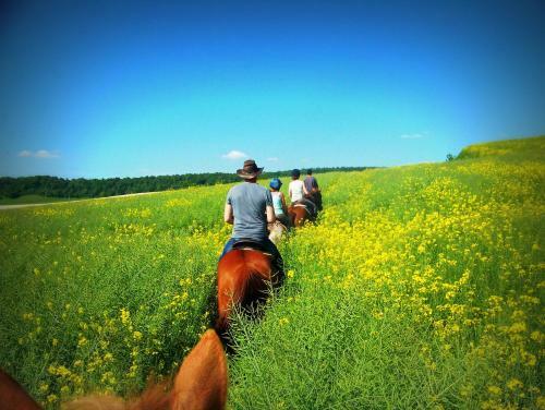 Bed & Breakfast Au Mesnil Le Bas Bray
