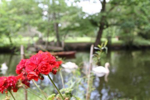 Bed & Breakfast Ch�teau Du Bois De La Noe