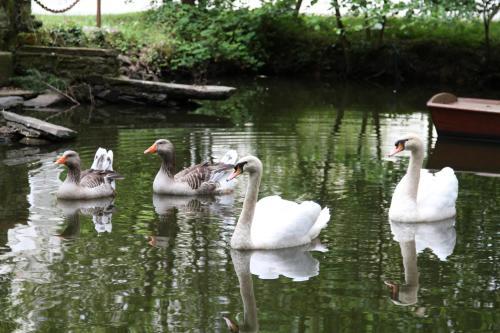 Bed & Breakfast Ch�teau Du Bois De La Noe