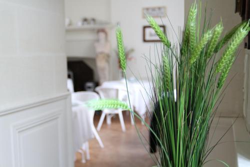 Bed & Breakfast Ch�teau Du Bois De La Noe