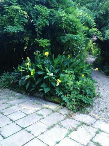 Bed & Breakfast Le Moulin De Moulis