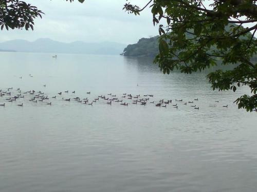 Hotel La Caba�a Del Lago