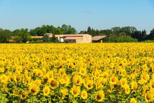 Hotel Le Mas Des Piboul�s