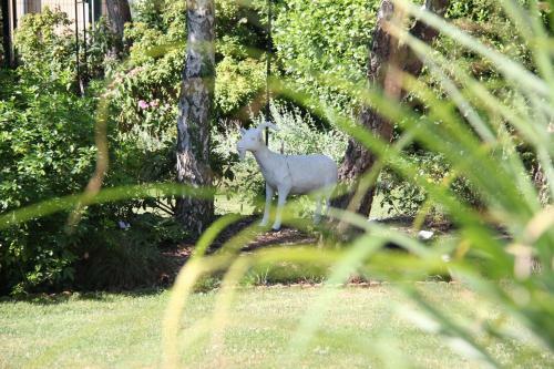 Bed & Breakfast La Villa Blanche