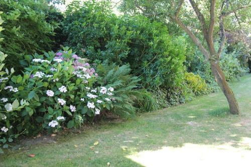 Bed & Breakfast La Villa Blanche