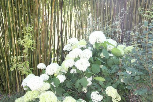 Bed & Breakfast La Villa Blanche