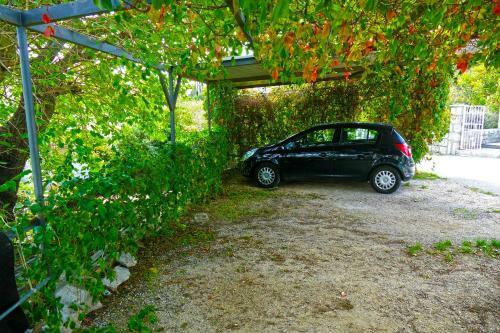 Apartamentos Villa Martinovi?