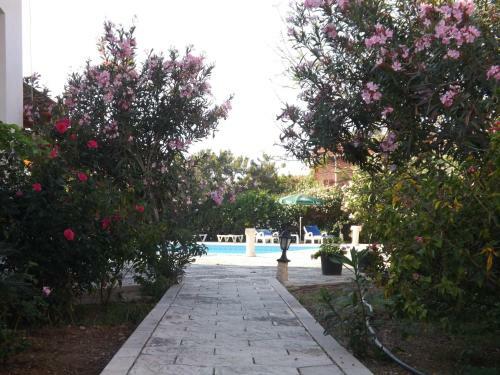 Bed & Breakfast Paradise