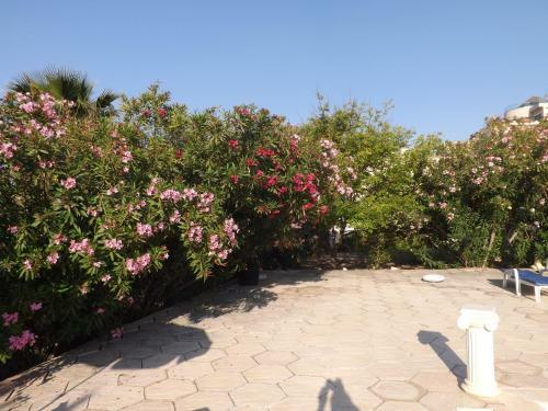Bed & Breakfast Paradise