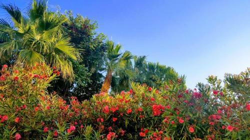 Bed & Breakfast Paradise