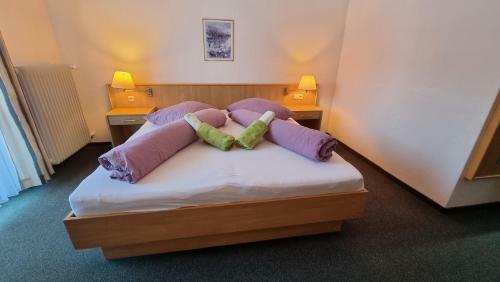 Hostal Schlosspension Landskron