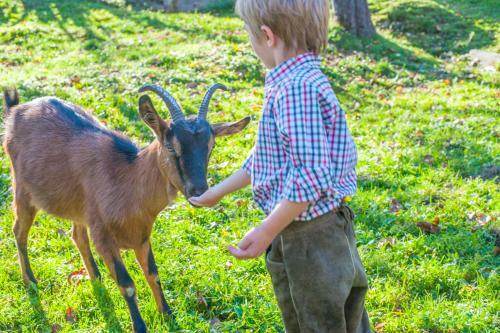 Agroturismo Biohof Maurachgut