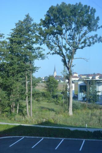 Hotel Fazeni