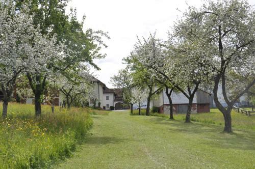 Apartamento Ferienwohnung Hinterdorfer