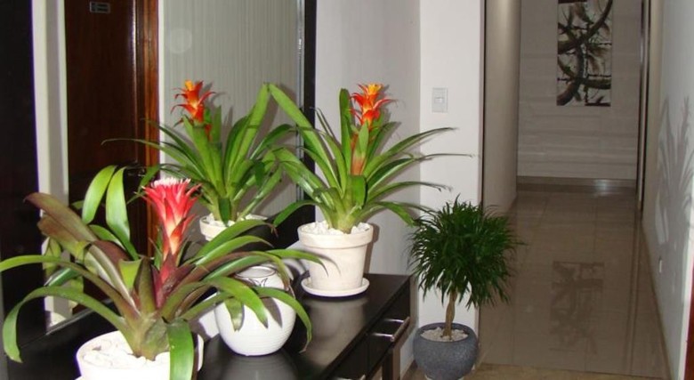 Hotel Colonial Escazu