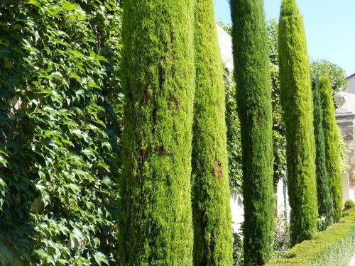 Bed & Breakfast Ch�teau Du Grand Jardin