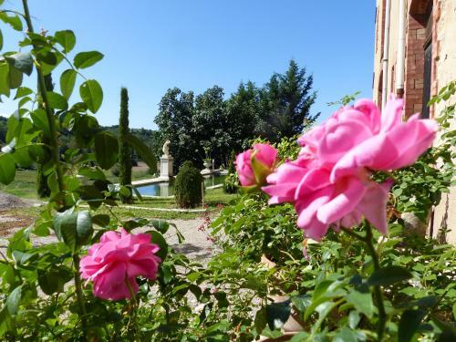Bed & Breakfast Ch�teau Du Grand Jardin