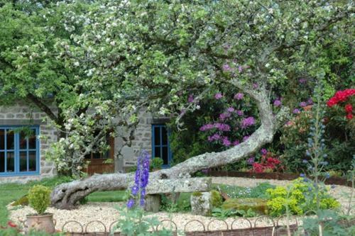 Bed & Breakfast Le Logis Du Stang