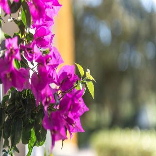 Agroturisme Ca Na Xini