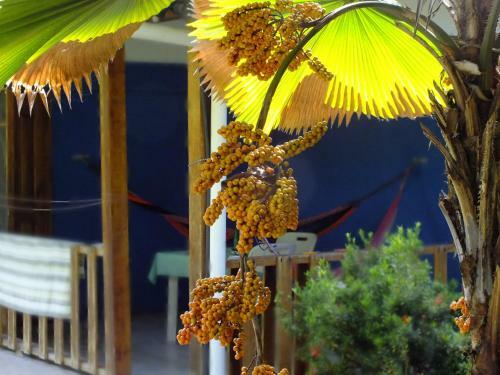 Lodge Cabinas Caribe Luna