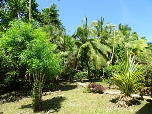Lodge Cabinas Caribe Luna