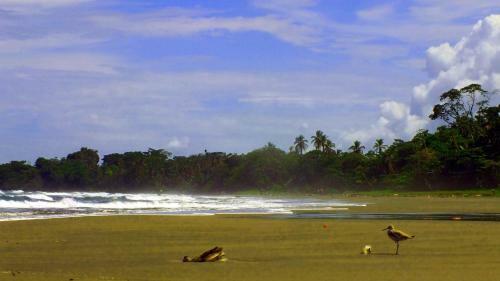 Lodge Cabinas Caribe Luna